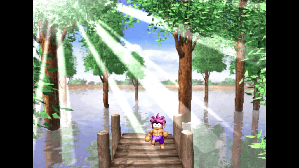 Tomba Special Edition 4